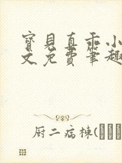 宝贝真乖小说全文免费笔趣阁