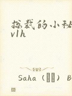 总裁的小秘书1v1h封面