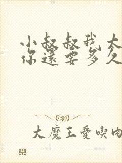 小叔叔我太累了你还要多久