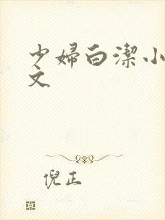 少妇白洁小说全文