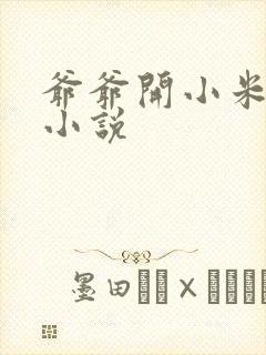 爷爷开小米的包小说