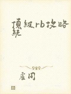 顶级rb攻略系统