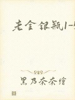 老金银瓶1-5封面
