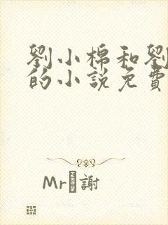 刘小棉和刘易文的小说免费阅读封面