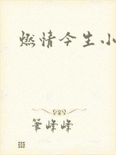 燃情今生小说封面