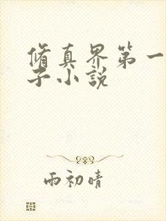 修真界第一病秧子小说