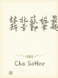 林北苏婉最新更新章节笔趣阁