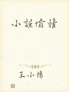 小说偷情