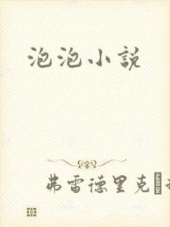 泡泡小说
