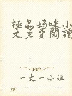 极品妈咪小说全文免费阅读封面