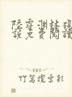 陆霆渊林砚秋小说免费阅读最新章节列表