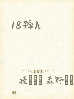 18号h