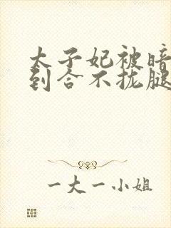 太子妃被暗卫C到合不拢腿