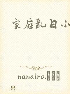 家庭乱日小说封面