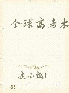 全球高考木苏里