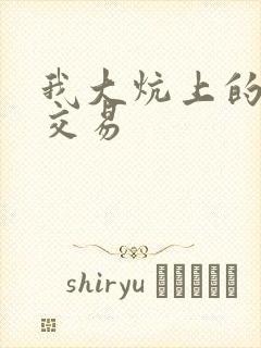 我大炕上的肉体交易