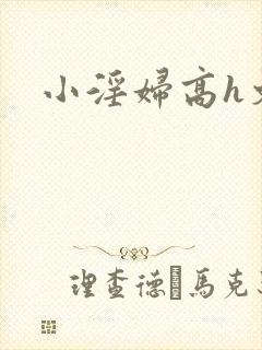 小淫妇高h文