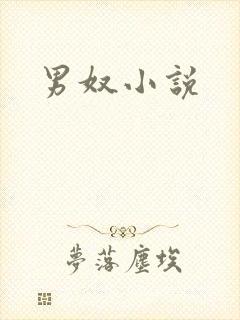 男奴小说
