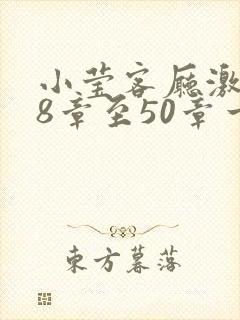 小莹客厅激情38章至50章一区二区封面