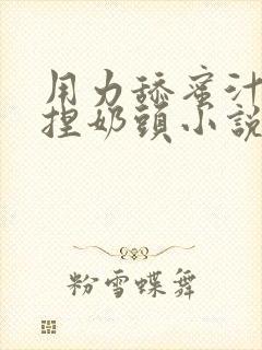 用力舔蜜汁.揉捏奶头小说封面