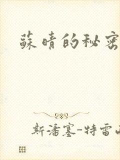 苏晴的秘密小说