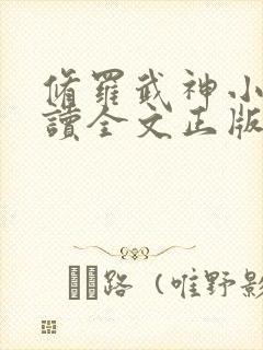 修罗武神小说阅读全文正版