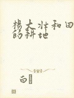 杨大壮和田桂花的耕地