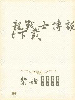 龙战士传说txt下载