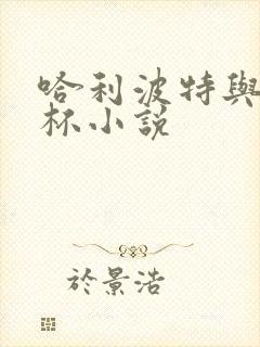 哈利波特与火焰杯小说封面