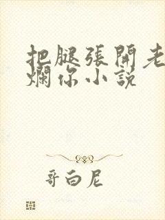 把腿张开老子臊烂你小说