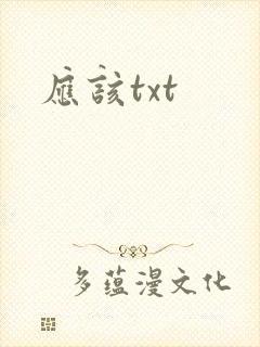 应该txt