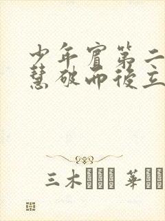 少年宾第二部珏慧破而后立封面