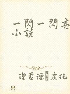 一闪一闪亮星星小说