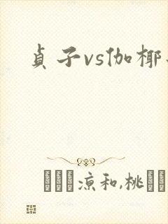 贞子vs伽椰子封面