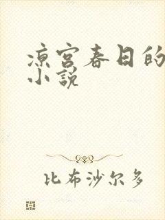 凉宫春日的忧郁小说