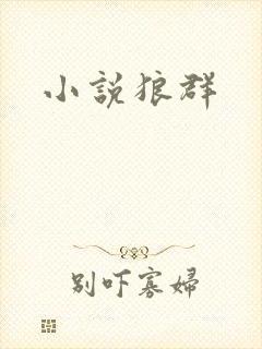 小说狼群