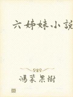 六姊妹小说封面