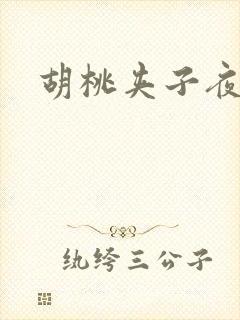 胡桃夹子夜未眠