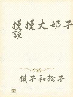 摸摸大奶子的小说