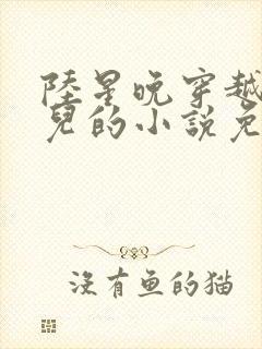 陆星晚穿越成婴儿的小说免费阅读全文封面