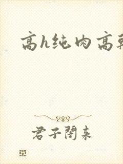 高h纯肉高干文