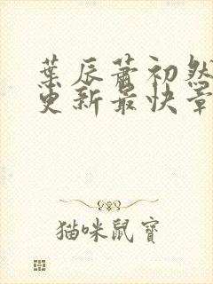 叶辰萧初然刚刚更新最快章节封面