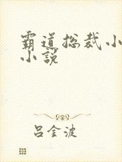 霸道总裁小娇妻小说