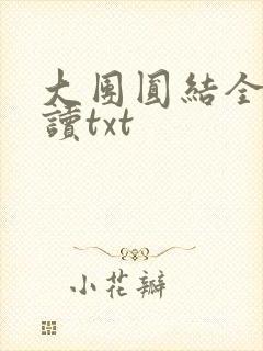 大团圆结全文阅读txt