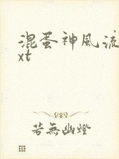 混蛋神风流史txt封面
