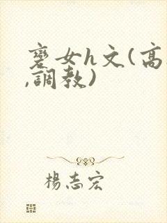 变女h文(高h,调教)封面