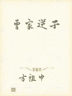 曹家逆子