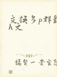 交换多p群乱高h文