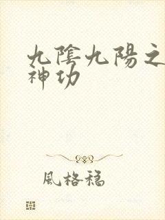 九阴九阳之阴阳神功封面