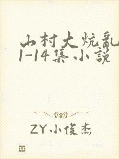 山村大炕乱肉续1-14集小说